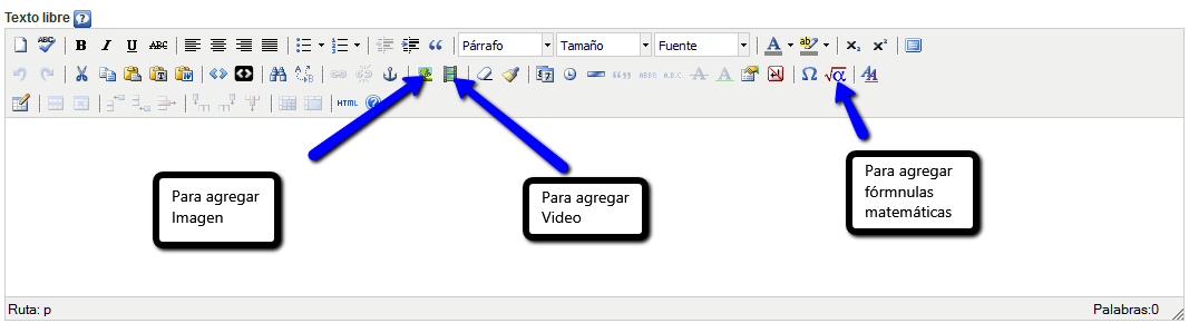 Texto